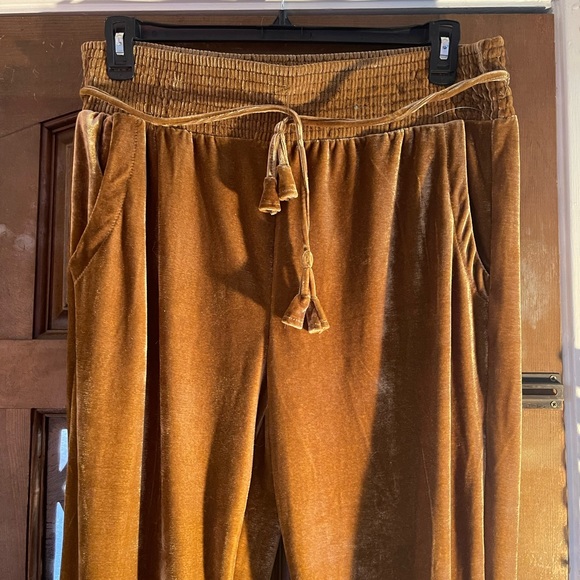 NWOT beautiful brown/gold elastic waist velvet high waisted joggers - Picture 3 of 5